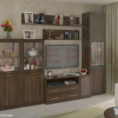 Гостиная Карина Композиция 22 (Акация Молдау) в Каменске-Уральском - kamensk-uralskiy.mebel24.online | фото