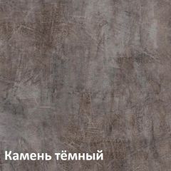 Крафт Полка навесная 15.64 в Каменске-Уральском - kamensk-uralskiy.mebel24.online | фото 4