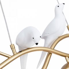 Подвесной светильник Arte Lamp Eltanin A3422SP-4GO в Каменске-Уральском - kamensk-uralskiy.mebel24.online | фото 4