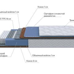 PROxSON Матрас Active Duo M/F (Ткань Трикотаж Эко) 120x195 в Каменске-Уральском - kamensk-uralskiy.mebel24.online | фото 7