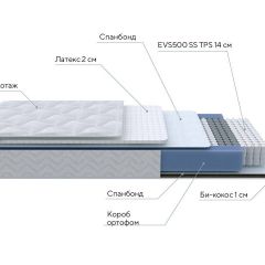 PROxSON Матрас Active Duo S/F (Ткань Трикотаж Эко) 140x190 в Каменске-Уральском - kamensk-uralskiy.mebel24.online | фото 7