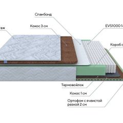 PROxSON Матрас Green Duo M/F (Tricotage Dream) 80x200 в Каменске-Уральском - kamensk-uralskiy.mebel24.online | фото