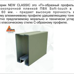 Шкаф-купе 1500 серии NEW CLASSIC K2+K2+B2+PL2(2 ящика+1 штанга+1 полка) профиль «Капучино» в Каменске-Уральском - kamensk-uralskiy.mebel24.online | фото 17