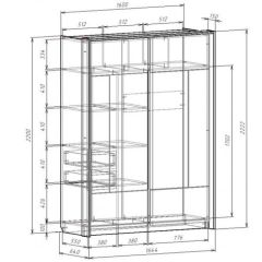 Шкаф-купе 1600 с плитой 22 мм ЛИБЕРТИ в Каменске-Уральском - kamensk-uralskiy.mebel24.online | фото 4