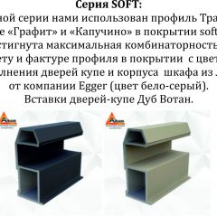 Шкаф-купе 1600 серии SOFT D8+D2+B2+PL4 (2 ящика+F обр.штанга) профиль «Графит» в Каменске-Уральском - kamensk-uralskiy.mebel24.online | фото 12