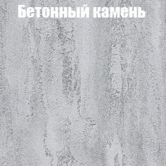 Шкаф-купе Бассо 1.0 (Дуб Крафт серый/Бетонный камень) 2 двери ЛДСП 2 зеркальные вставки в Каменске-Уральском - kamensk-uralskiy.mebel24.online | фото 3