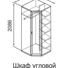 Шкаф угловой для одежды Ника-Люкс 30 без зеркал в Каменске-Уральском - kamensk-uralskiy.mebel24.online | фото 3