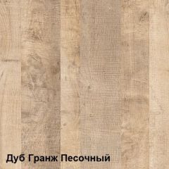 Трувор Шкаф 13.204 в Каменске-Уральском - kamensk-uralskiy.mebel24.online | фото 4