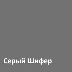 Юнона Шкаф торцевой 13.221 в Каменске-Уральском - kamensk-uralskiy.mebel24.online | фото 2