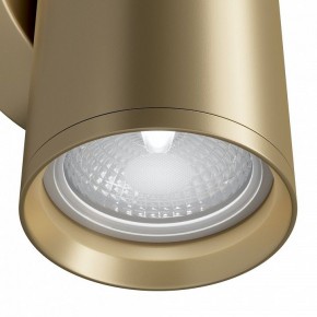 Бра Maytoni Focus S C068WL-02MG в Каменске-Уральском - kamensk-uralskiy.mebel24.online | фото 4