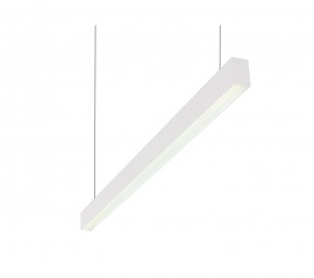 DK9124-WH Линейный светильник 30W 1250mm 4000K, белый в Каменске-Уральском - kamensk-uralskiy.mebel24.online | фото 1