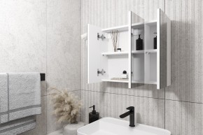 Кларити Шкаф зеркальный 16.312.08 в Каменске-Уральском - kamensk-uralskiy.mebel24.online | фото 2