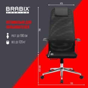 Кресло BRABIX PREMIUM "Ultimate EX-801" хром, плотная двойная сетка Х2, черное, 532917 в Каменске-Уральском - kamensk-uralskiy.mebel24.online | фото 7