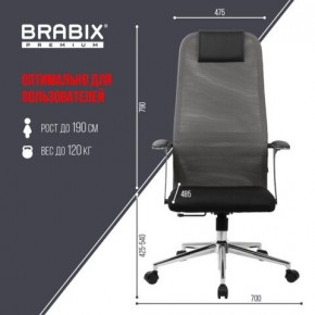 Кресло офисное BRABIX PREMIUM "Ultimate EX-801" хром, плотная двойная сетка Х2, черное/серое, 532918 в Каменске-Уральском - kamensk-uralskiy.mebel24.online | фото 5