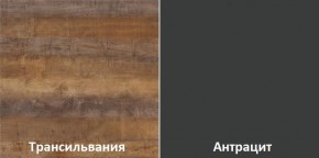 Кухонный гарнитур угловой Трансильвания 2400x1600 мм (Стол. 38 мм) Антрацит/Трансильвания в Каменске-Уральском - kamensk-uralskiy.mebel24.online | фото 3