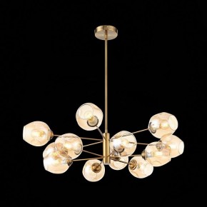 Люстра на штанге ST-Luce Fovia SL1500.203.12 в Каменске-Уральском - kamensk-uralskiy.mebel24.online | фото 4