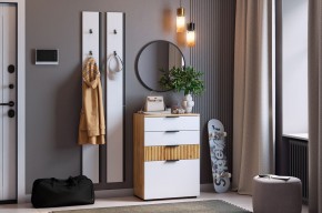 МЕБЕЛЬСОН К21 Прихожая в Каменске-Уральском - kamensk-uralskiy.mebel24.online | фото