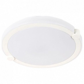 Накладной светильник Arte Lamp Biscotti A2679PL-72WH в Каменске-Уральском - kamensk-uralskiy.mebel24.online | фото