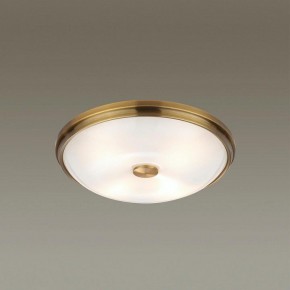 Накладной светильник Odeon Light Pelow 4956/4 в Каменске-Уральском - kamensk-uralskiy.mebel24.online | фото 2