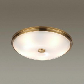 Накладной светильник Odeon Light Pelow 4956/5 в Каменске-Уральском - kamensk-uralskiy.mebel24.online | фото 2
