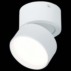 Накладной светильник ST-Luce ST651 ST651.542.09 в Каменске-Уральском - kamensk-uralskiy.mebel24.online | фото 4