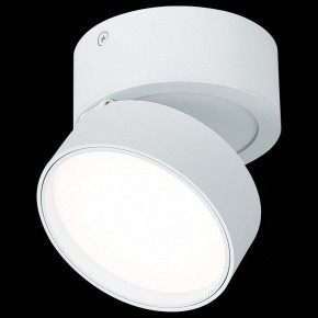 Накладной светильник ST-Luce ST651 ST651.542.14 в Каменске-Уральском - kamensk-uralskiy.mebel24.online | фото 4