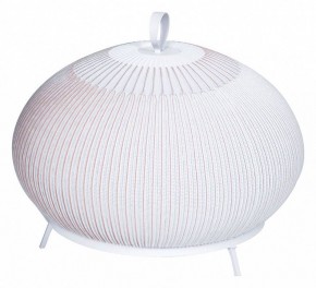Настольная лампа декоративная Divinare Firefly 1808/33 TL-50 в Каменске-Уральском - kamensk-uralskiy.mebel24.online | фото