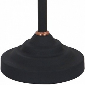 Настольная лампа офисная Arte Lamp Braccio A2054LT-1BK в Каменске-Уральском - kamensk-uralskiy.mebel24.online | фото 4
