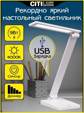 Настольная лампа офисная Citilux Ньютон CL803080 в Каменске-Уральском - kamensk-uralskiy.mebel24.online | фото 2