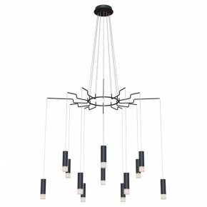 Подвесная люстра Maytoni Davida MOD035PL-12B в Каменске-Уральском - kamensk-uralskiy.mebel24.online | фото 2