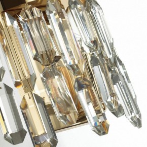 Подвесная люстра Odeon Light Dakisa 4986/12 в Каменске-Уральском - kamensk-uralskiy.mebel24.online | фото 8