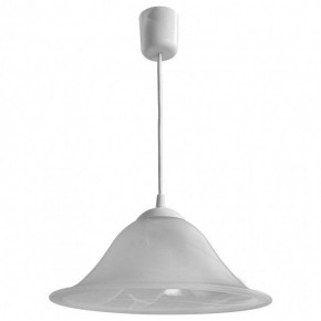 Подвесной светильник Arte Lamp Cucina A6430SP-1WH в Каменске-Уральском - kamensk-uralskiy.mebel24.online | фото 2