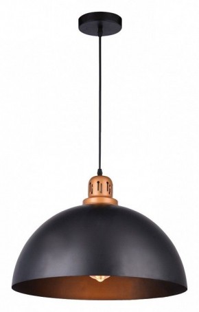 Подвесной светильник Arte Lamp Eurica A4249SP-1BK в Каменске-Уральском - kamensk-uralskiy.mebel24.online | фото 2