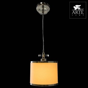 Подвесной светильник Arte Lamp Furore A3990SP-1CC в Каменске-Уральском - kamensk-uralskiy.mebel24.online | фото 3