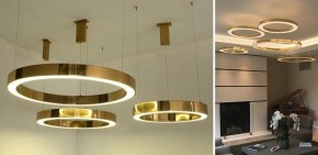 Подвесной светильник Imperiumloft Light Ring Horizontal 40.1454-120 в Каменске-Уральском - kamensk-uralskiy.mebel24.online | фото 2