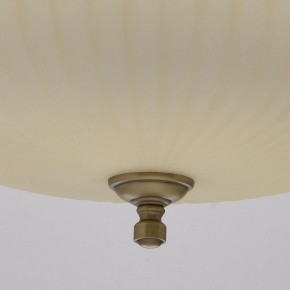 Подвесной светильник MW-Light Афродита 1 317010504 в Каменске-Уральском - kamensk-uralskiy.mebel24.online | фото 9