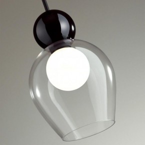 Подвесной светильник Odeon Light Blacky 2 5023/1 в Каменске-Уральском - kamensk-uralskiy.mebel24.online | фото 6