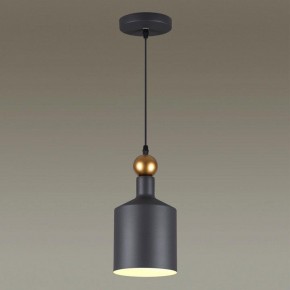 Подвесной светильник Odeon Light Bolli 4085/1 в Каменске-Уральском - kamensk-uralskiy.mebel24.online | фото 3