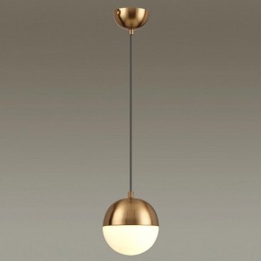 Подвесной светильник Odeon Light Pinga 4960/1 в Каменске-Уральском - kamensk-uralskiy.mebel24.online | фото 2