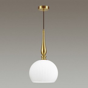 Подвесной светильник Odeon Light Runga 4766/1 в Каменске-Уральском - kamensk-uralskiy.mebel24.online | фото 4