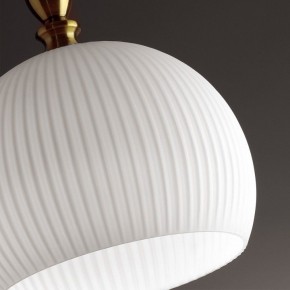 Подвесной светильник Odeon Light Runga 4766/1 в Каменске-Уральском - kamensk-uralskiy.mebel24.online | фото 8