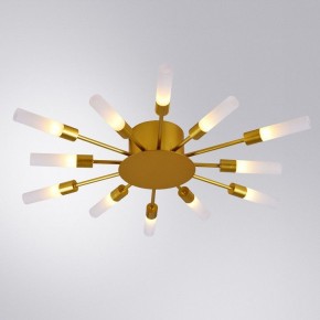 Потолочная люстра Arte Lamp Maple A1276PL-12GO в Каменске-Уральском - kamensk-uralskiy.mebel24.online | фото 1