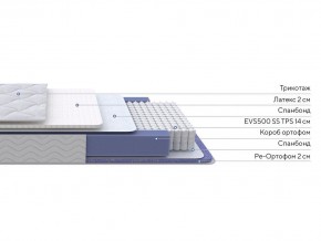 PROxSON Матрас Active Duo S/F (Ткань Трикотаж Эко) 120x190 в Каменске-Уральском - kamensk-uralskiy.mebel24.online | фото 2