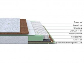 PROxSON Матрас Green Duo M/F (Tricotage Dream) 80x200 в Каменске-Уральском - kamensk-uralskiy.mebel24.online | фото 1