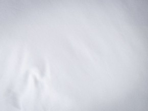 PROxSON Подушка Terra Duo (Сатин Ткань) 50x70 в Каменске-Уральском - kamensk-uralskiy.mebel24.online | фото 9