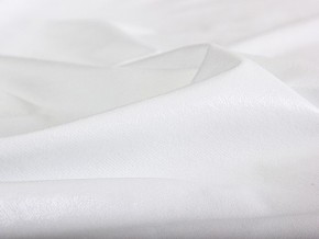 PROxSON Защитный чехол Aqua Save M (Ткань влагостойкая Terry Cloth) 120x200 в Каменске-Уральском - kamensk-uralskiy.mebel24.online | фото 6