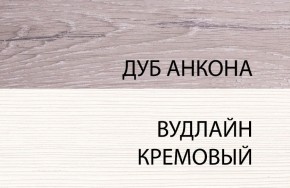 Шкаф 1DZ, OLIVIA, цвет вудлайн крем/дуб анкона в Каменске-Уральском - kamensk-uralskiy.mebel24.online | фото 3