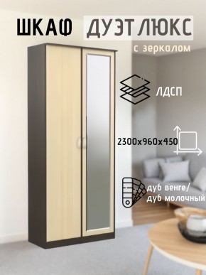 Шкаф 2-х створчатый Дуэт Люкс с зеркалом в Каменске-Уральском - kamensk-uralskiy.mebel24.online | фото 1