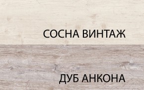 Шкаф 2D1S, MONAKO, цвет Сосна винтаж/дуб анкона в Каменске-Уральском - kamensk-uralskiy.mebel24.online | фото