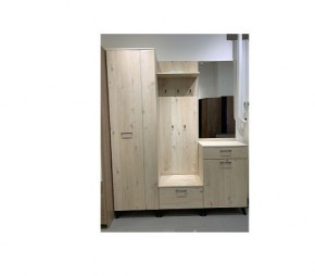 Шкаф для одежды 2-х дверный София 1 в Каменске-Уральском - kamensk-uralskiy.mebel24.online | фото 6